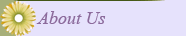 About Us